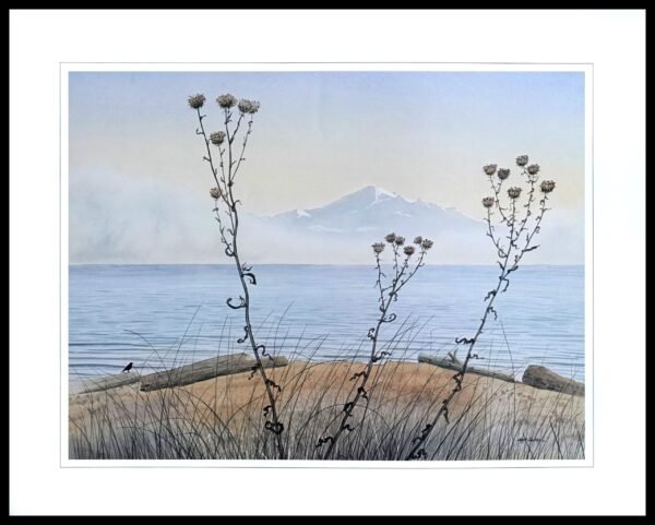 BH 175 November Morning